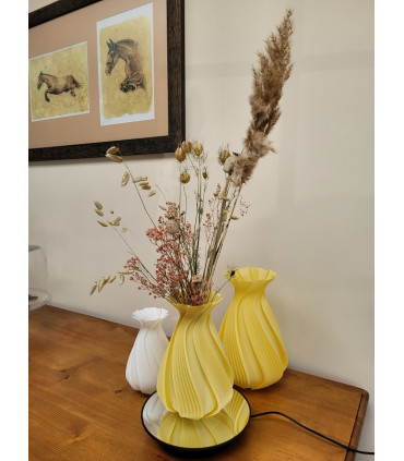 Vase original et Fleurs séchées