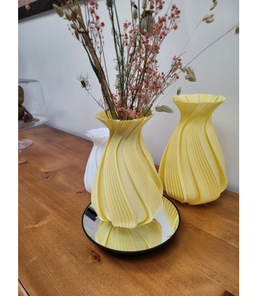 Vase original et Fleurs séchées